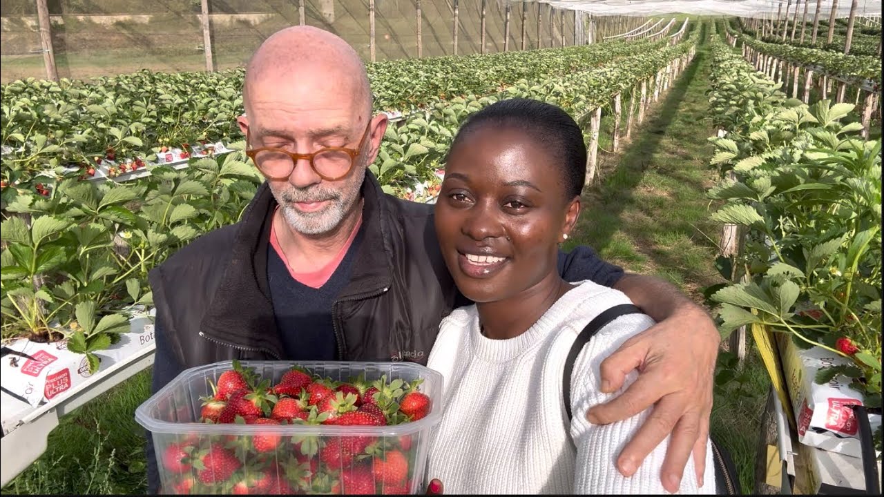 FIRST TIME PICKING FRESH STRAWBERRIES FROM THE FARM !!