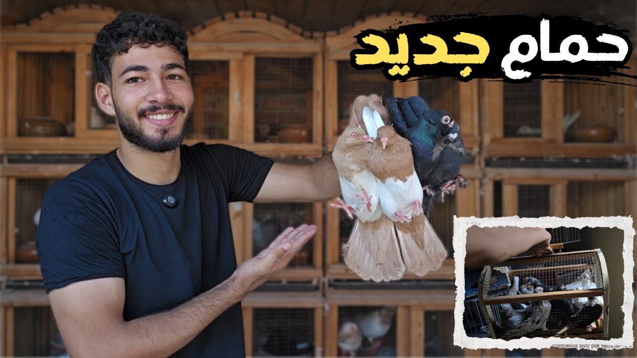 اشتريت حمام جديد وتجهيزات لبداية مختلفه 🫡 فضيت السلاكه الجديده 🧐