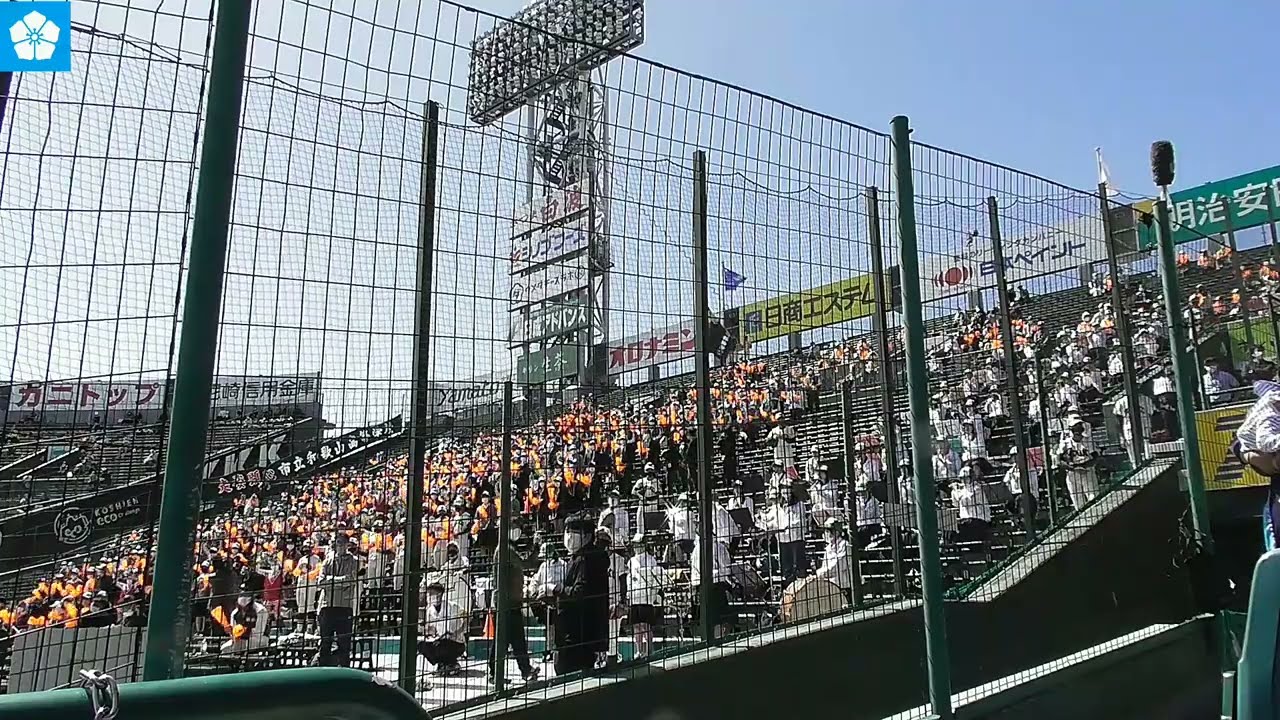2022/3/27  第94回選抜高等学校野球大会　市立和歌山の応援