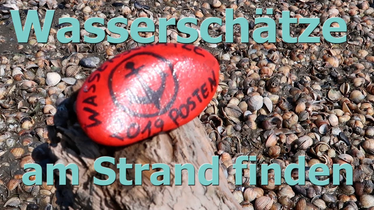 WASSERSCHÄTZE am MUSCHELSTRAND finden