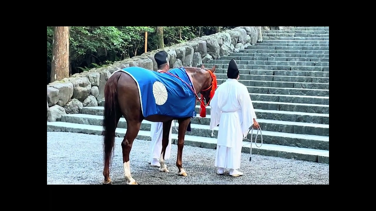 伊勢神宮内宮　神馬見参の儀。