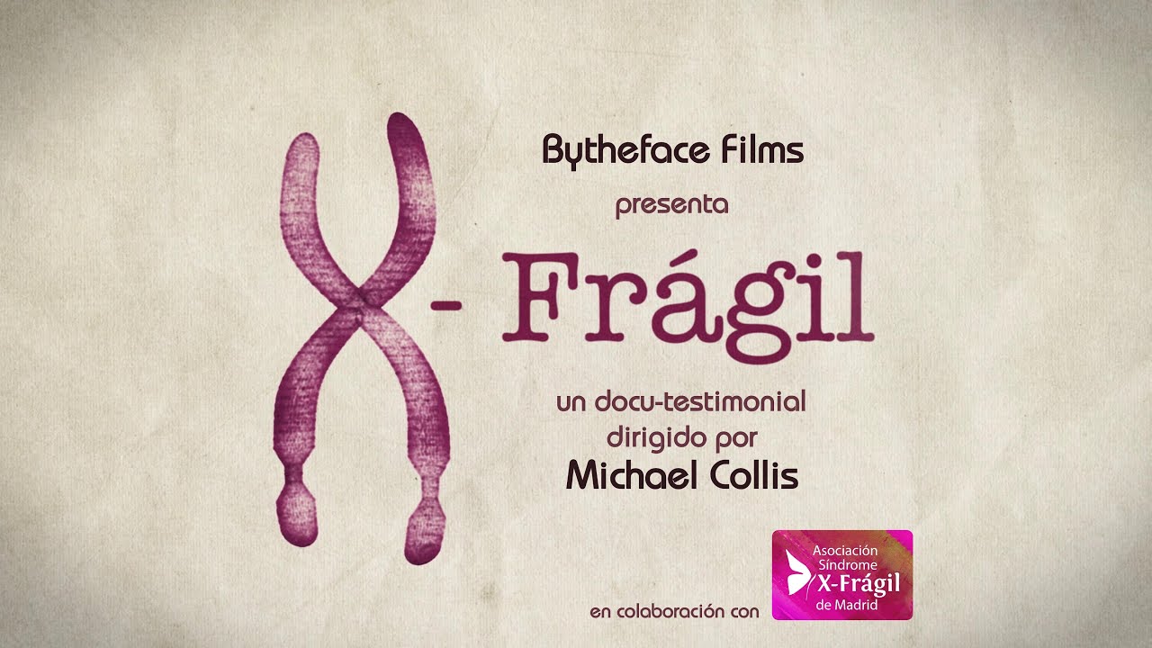 X-Frágil