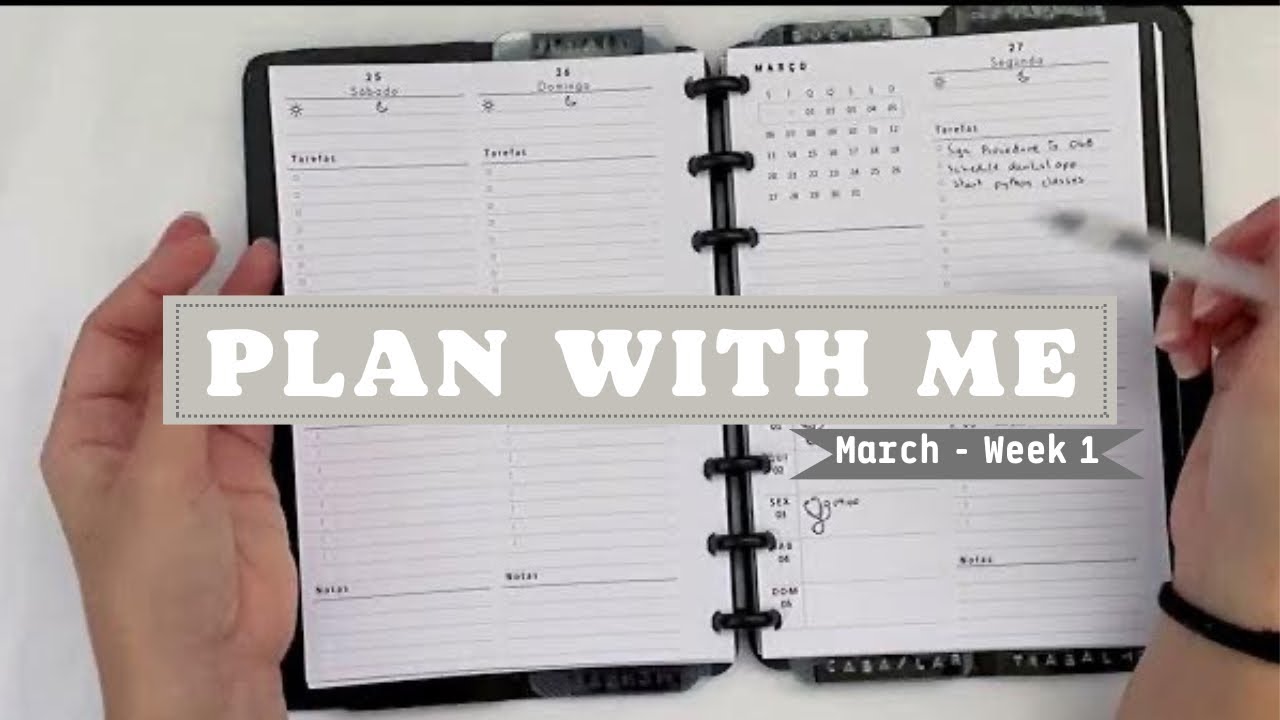Plan with me hourly l Functional planning l March week 1 (27-05)