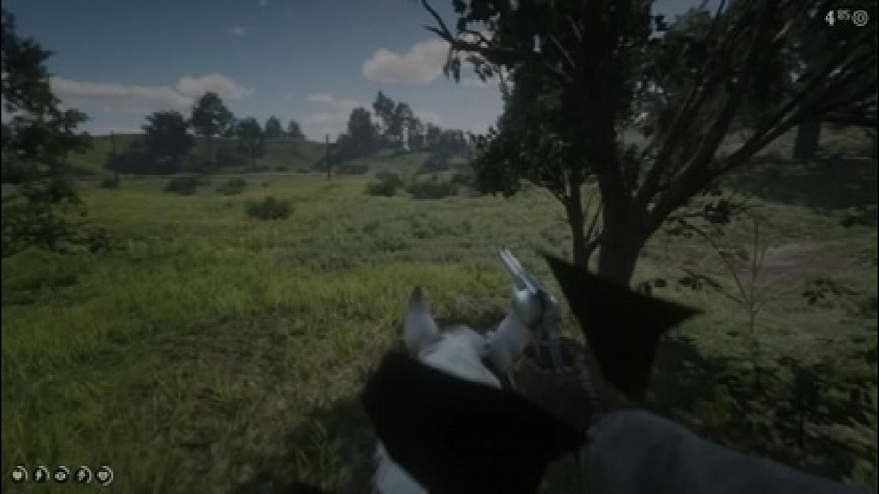 Red Dead Redemption 2_20251229132224