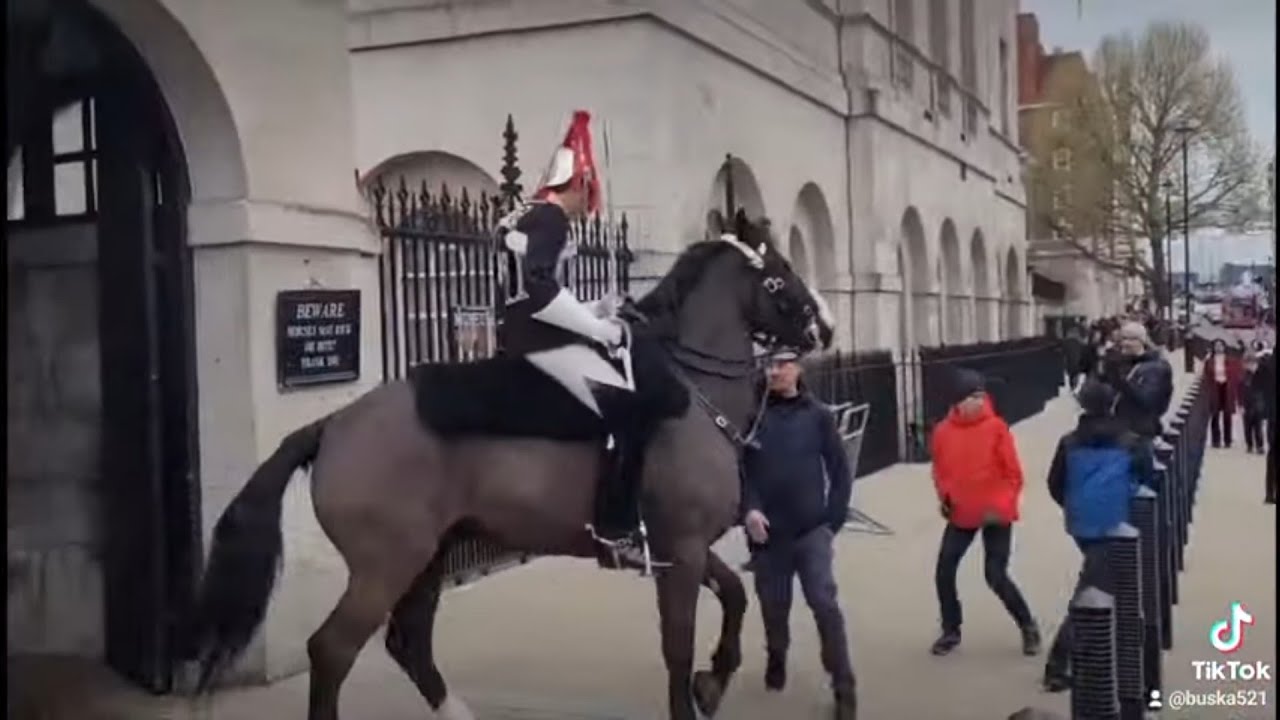 8 times the kings guard used their horse to move tourist's away #horseguardsparade