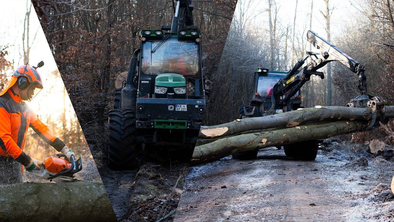 Einsatz im Forst! Laubholzernte | Stihl MS 462c & Funkkeil TR300 + Kotschenreuter 220R Gen2 | HÜPPE