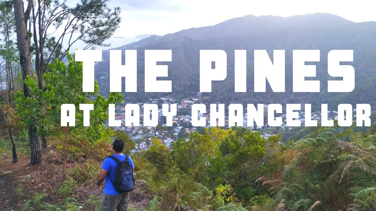 The Pines at Lady Chancellor