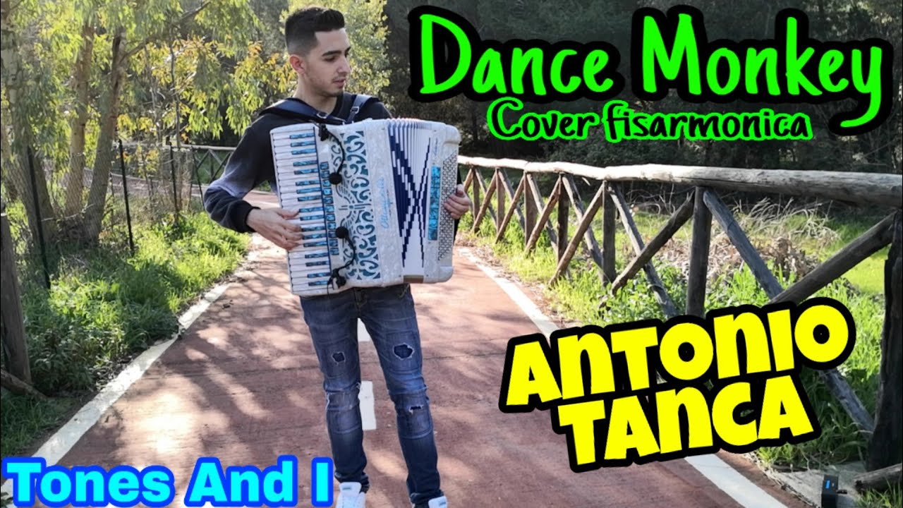 Tones And I - DANCE MONKEY  (Cover Accordion Antonio Tanca)