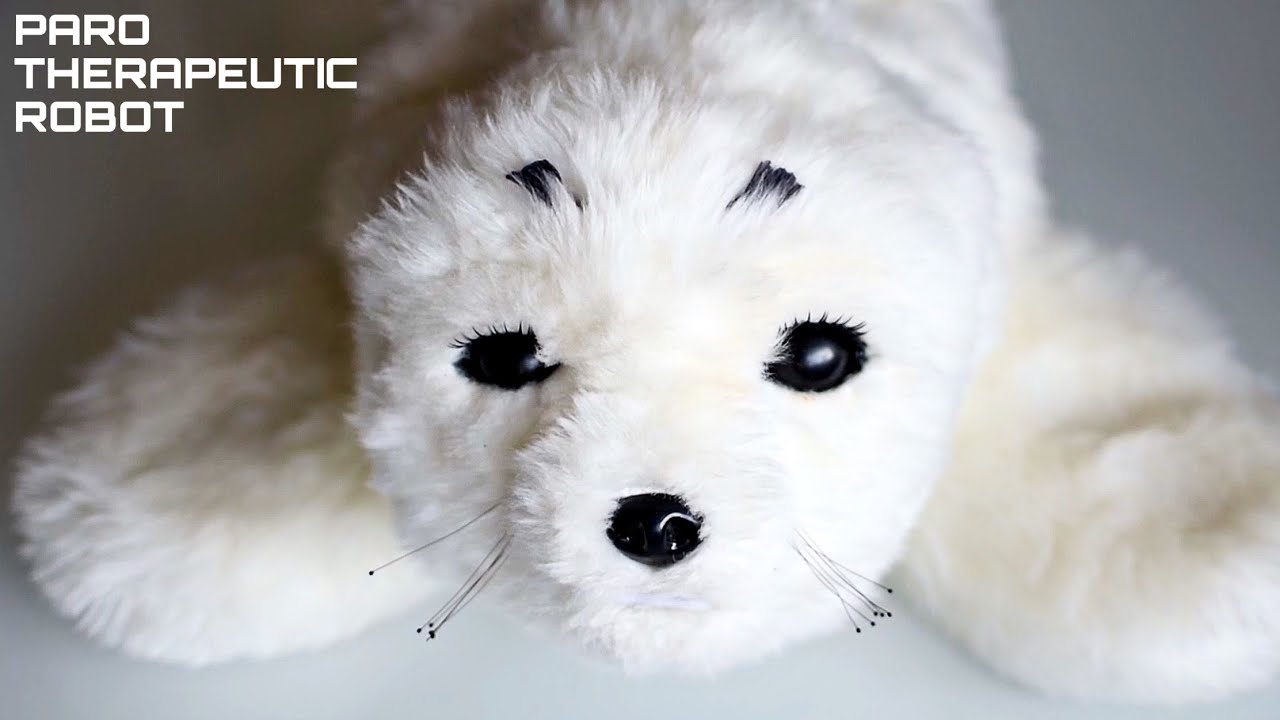 PARO Therapeutic Robot White Seal Short Overview / Kort Overzicht