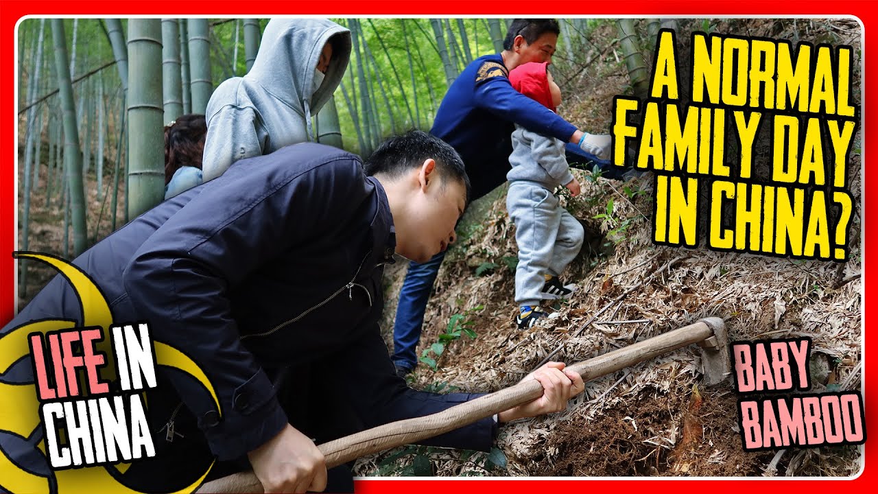 Normal Day in China after Virus Quarantine | CHINA VLOG