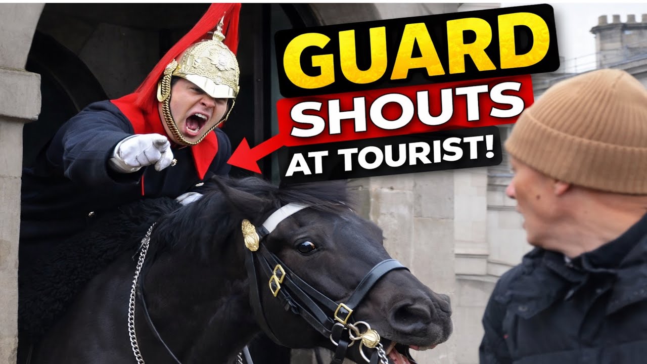 The BEST Trooper is Back on Duty… YOU Won’t Believe What Happens!😱
