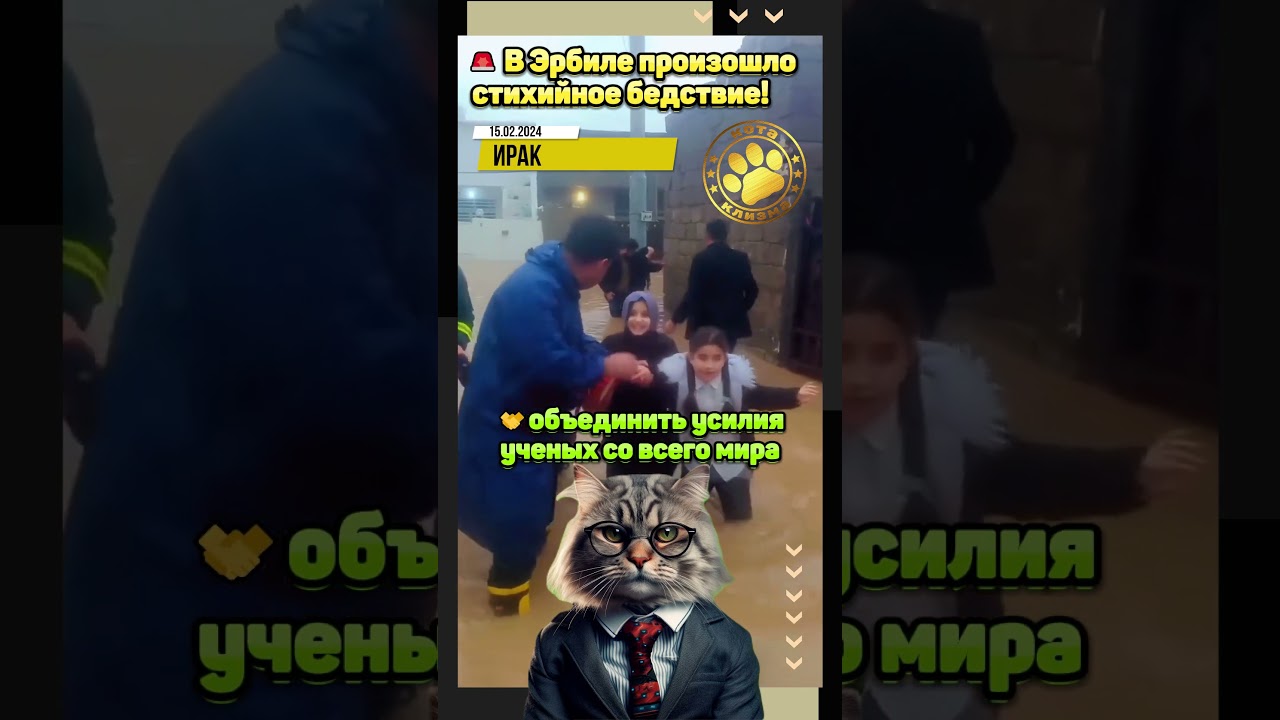 🚨 В Эрбиле произошло стихийное бедствие!
