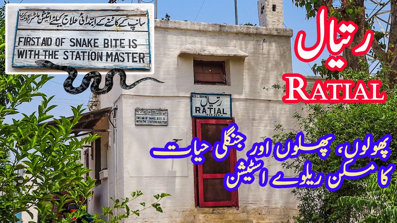 Ratial Railway Station | In Middle of Forest & Wildlife