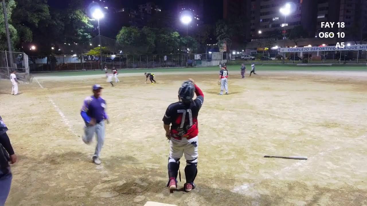 Faylan vs Osos