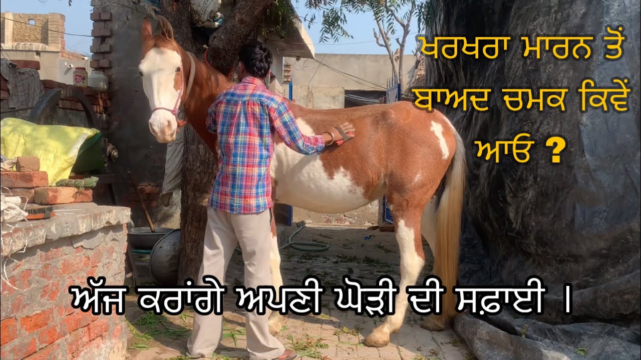 ਖਰਖਰਾ ਮਾਰਨ ਤੋਂ ਬਾਅਦ ਕਿਵੇਂ ਚਮਕ ਆਓਗੀ ?