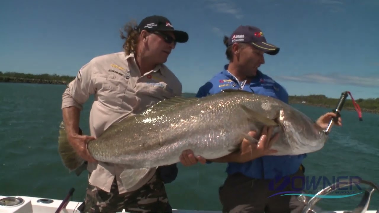 Owner SSW Bait Hook Range Explained