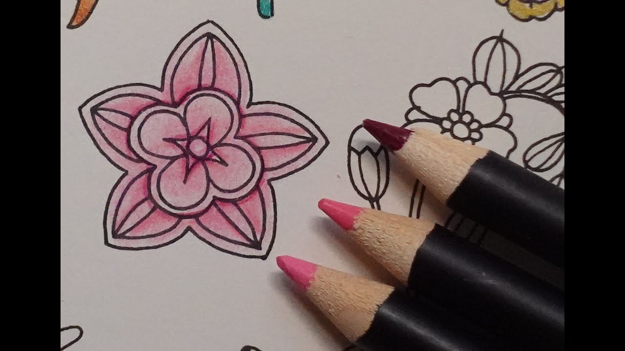 Adult Colouring Tutorial Light Pink Flower - from Ivy and the Inky Butterfly by Johanna Basford