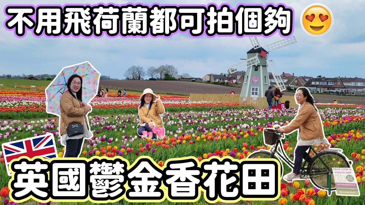 (126)【🌷英國鬱金香花田🪻】Farmer Copleys｜影相打咭打個飽📸｜🩷🩷大滿足🩷🩷｜❌✈️ 唔駛飛荷蘭都影到鬱金香花海｜英國生活都可以好精彩 (拍攝日期: 18-4-2025)