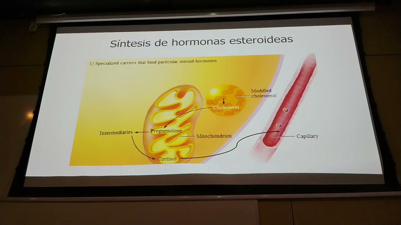 Fisiología 5