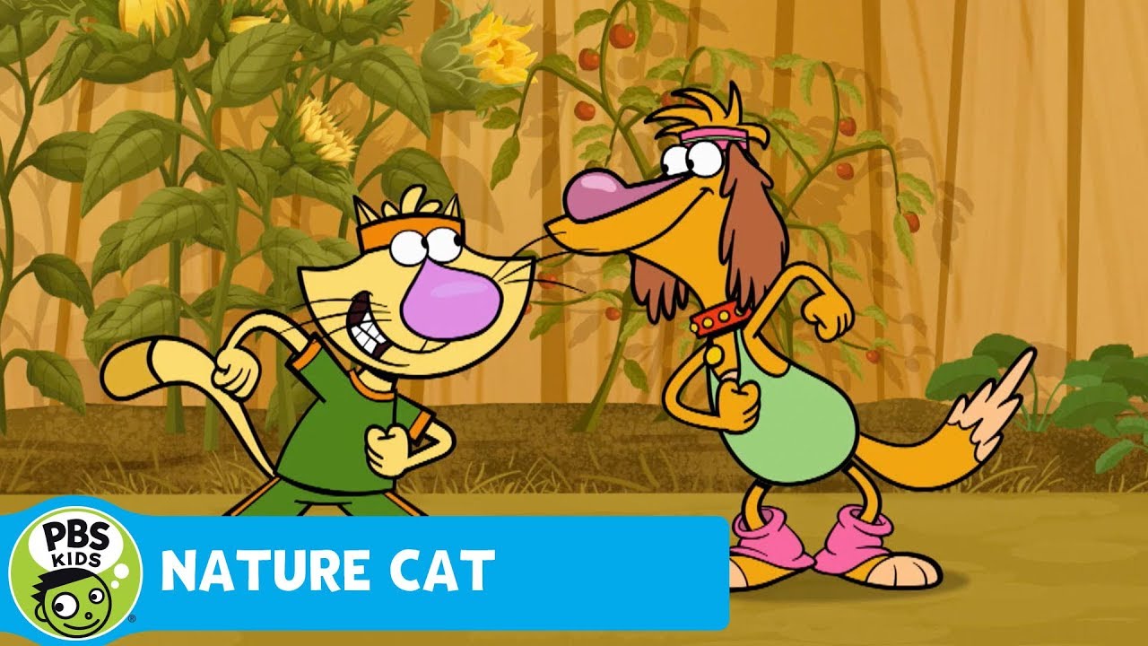 NATURE CAT | No Rain Really Stinks | PBS KIDS