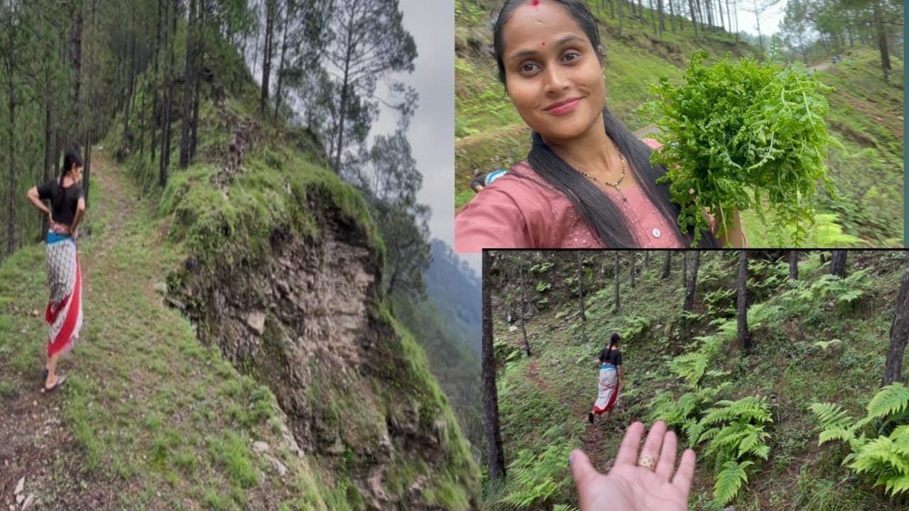 जंगली  साग 🥒 ढूँढने गए आज जंगल ☺️ बारिश 🌧️ के बाद निकलती है ये सब्जी ☺️