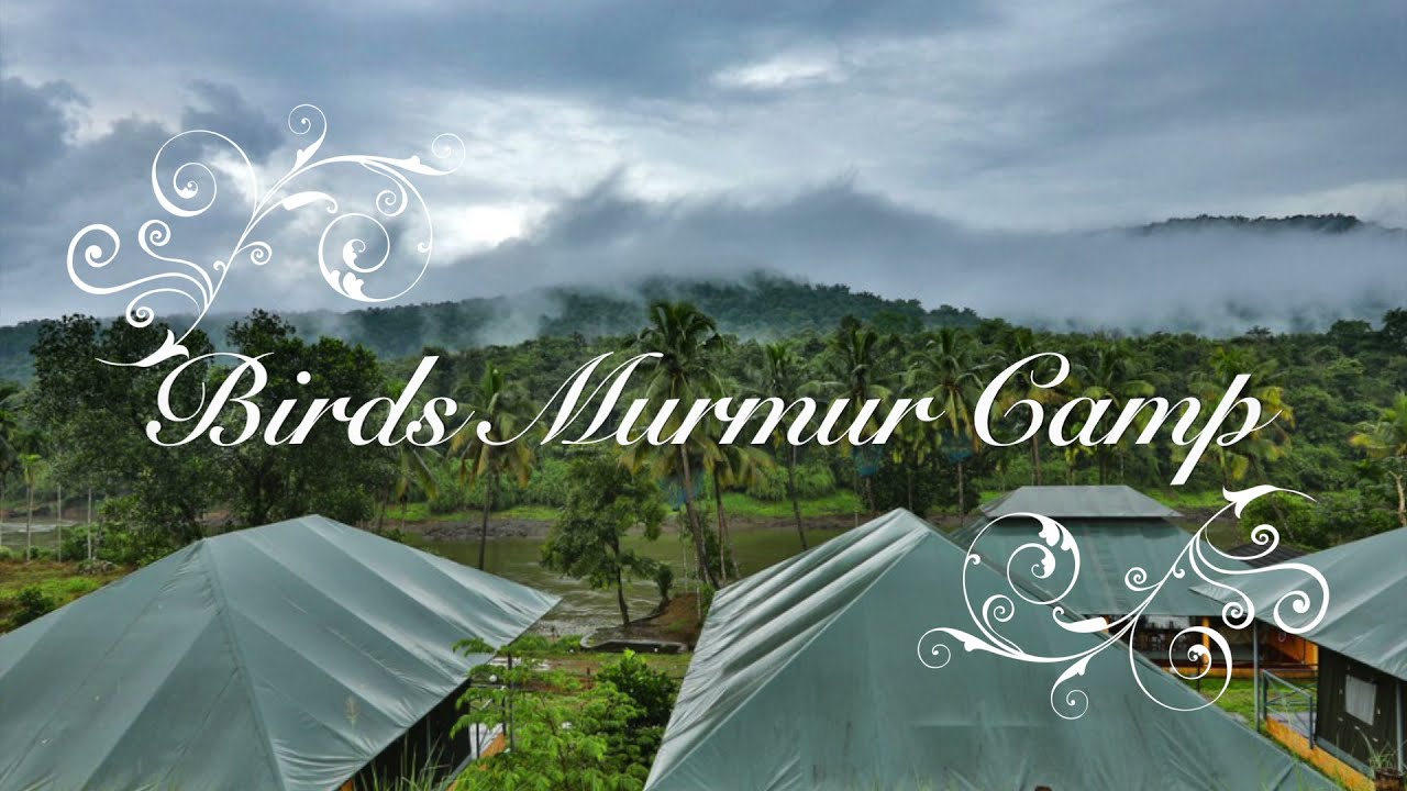 Birds Murmur Camp - Thattekad