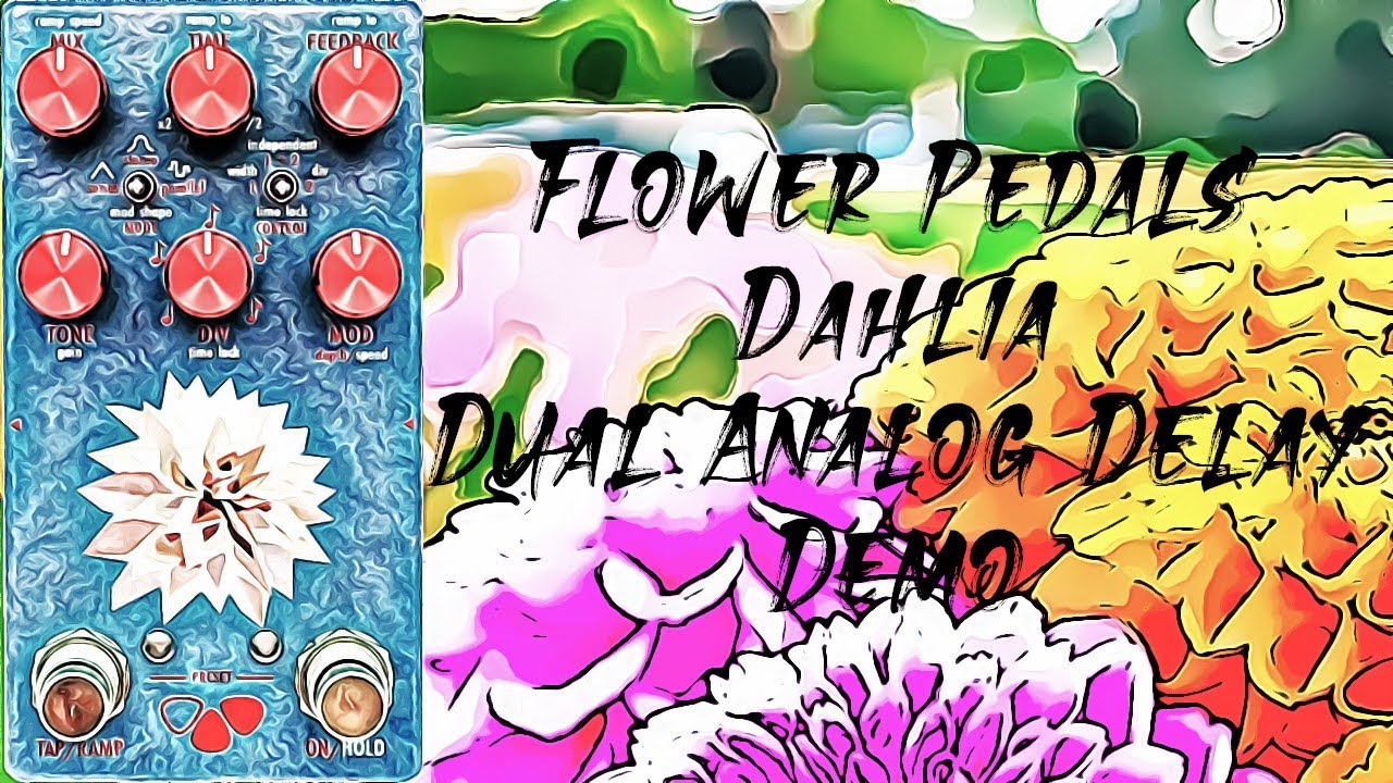 Flower Pedals Dahlia - Dual Analog Delay Demo