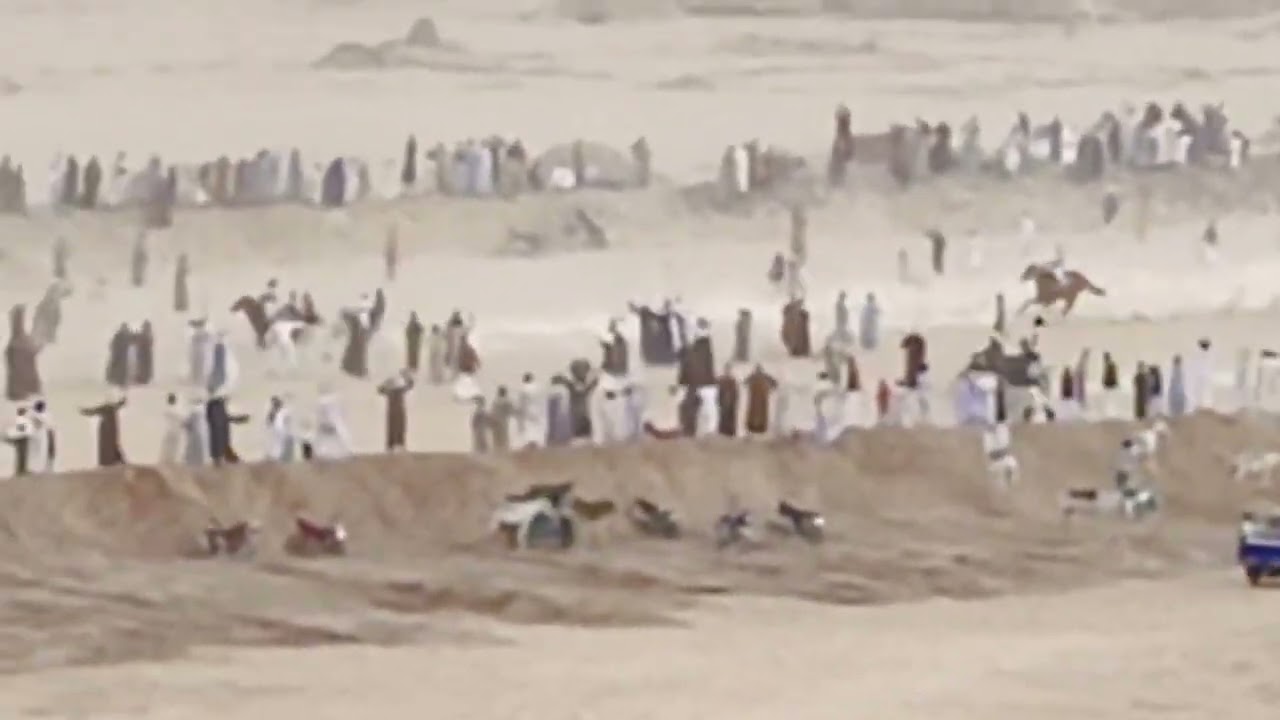 الشرميكى وحصان اب جاد