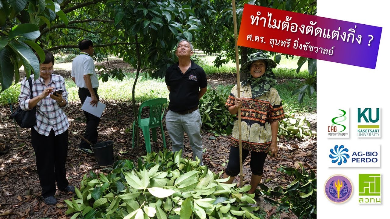 ทำไมต้องตัดแต่งกิ่งของต้นไม้ผล