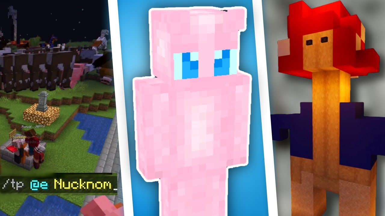 Our Minecraft SMP Reached Its Peak Today