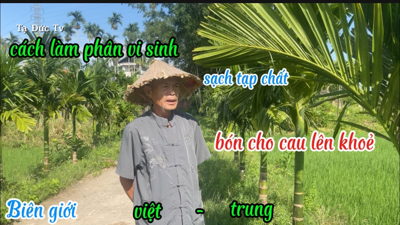 cách làm phân hĩu cơ vi sinh bón cho cau 