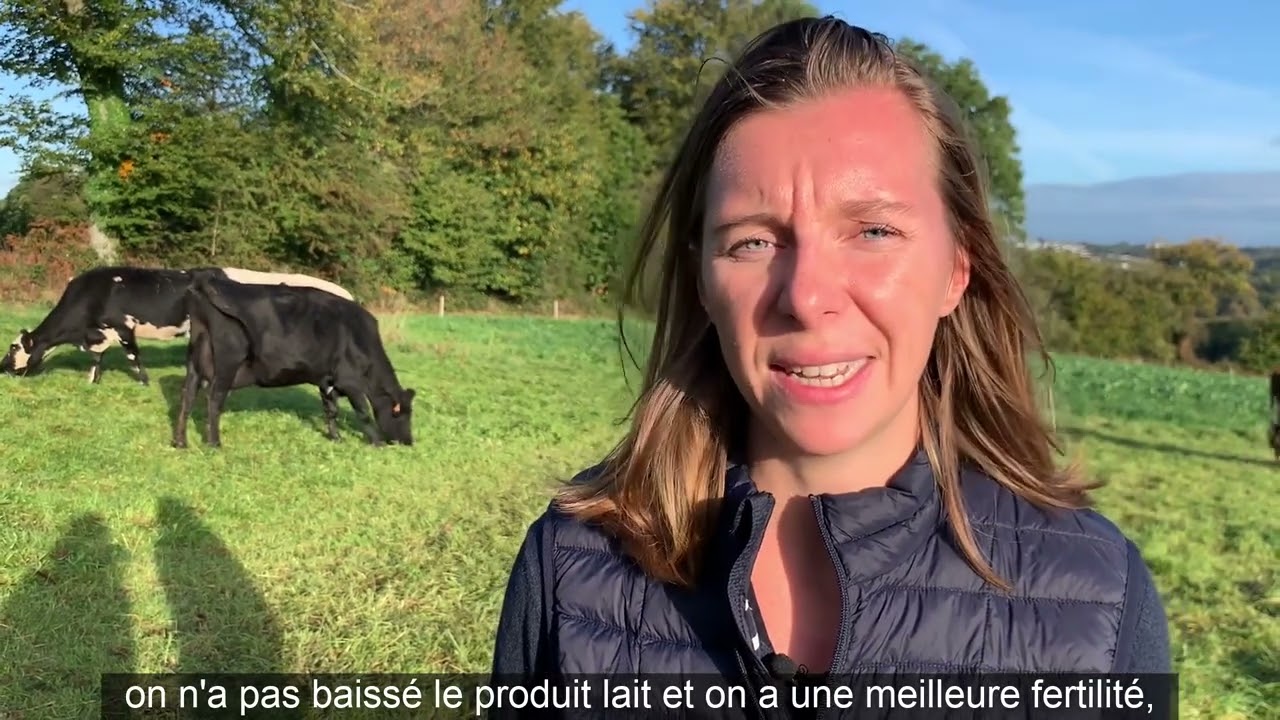 Croiser Holsteins, Normandes et Jersiaises pour mieux valoriser le lait bio
