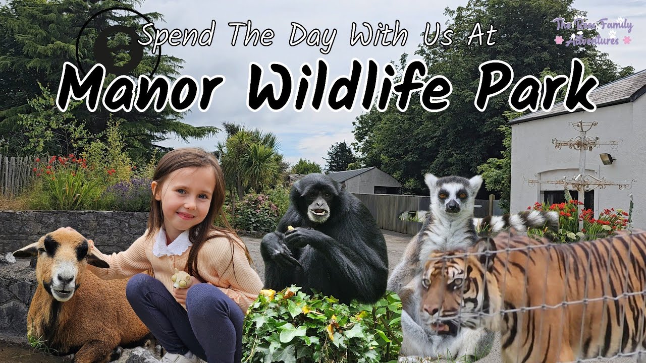 Tiger Cub and So Much More At Manor Wildlife Park Pembrokeshire #manorwildlifepark