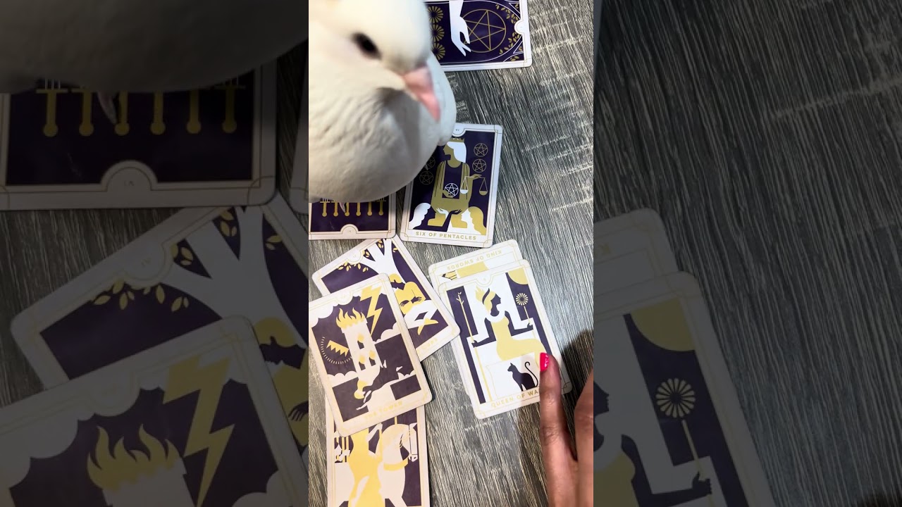 They literally thought, ‘Who is THAT?!’ when they first saw you. New person wants to ask you out.