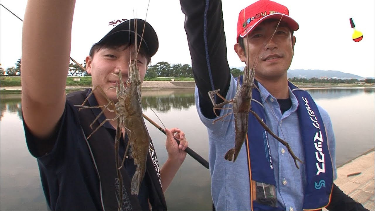 武庫川でお手軽フィッシング！手長エビもハゼも楽釣！/四季の釣り/2017年9月1日放送