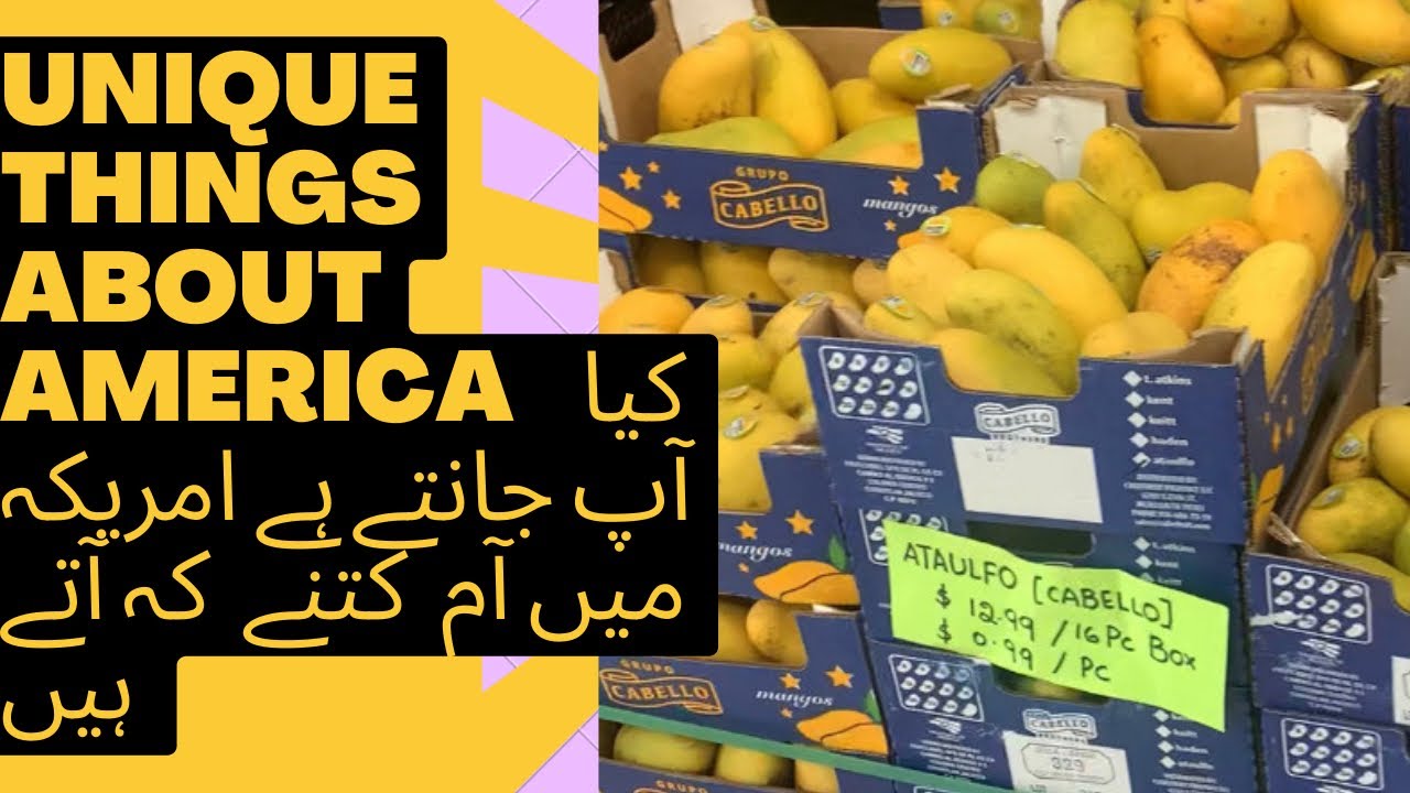 Unique things about America | Price of mango in us| Daily vlogs |
