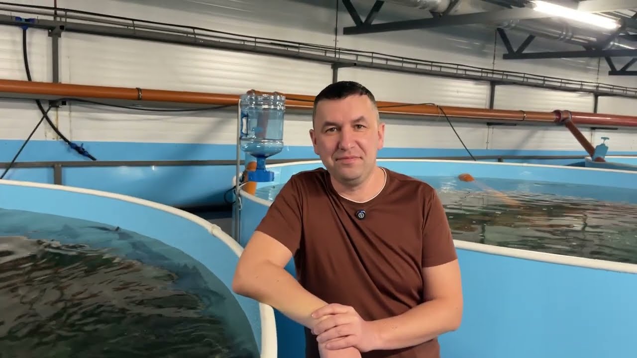 Первое еженедельное видео.