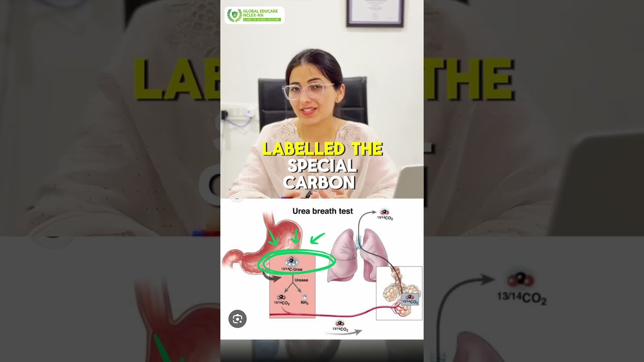 🧪 How Does the Urea Breath Test Detect H. Pylori?