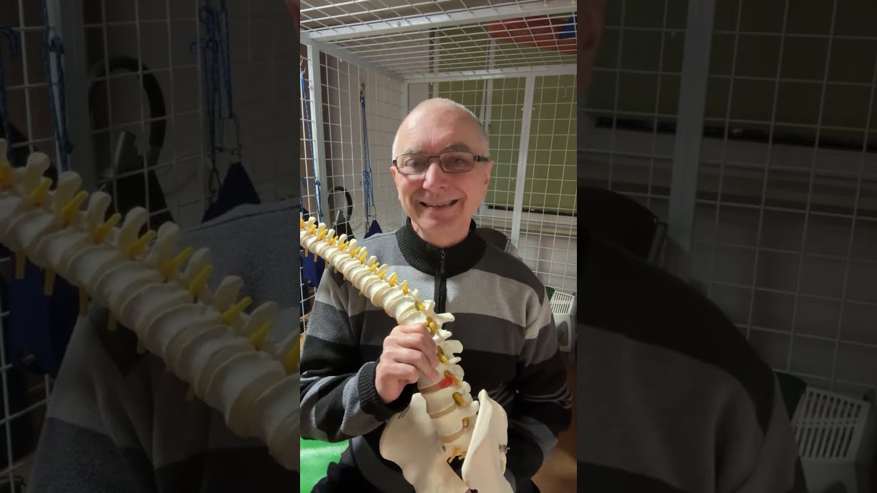 Jakie ćwiczenia na rwę kulszową - Janusz Danielczyk - Fizjoterapeuta z pasją nadaje na żywo