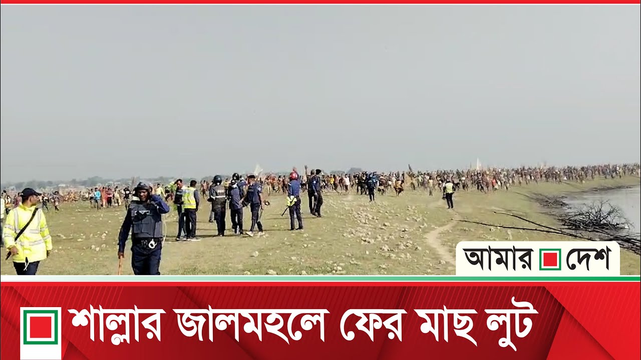 সুনামগঞ্জের জলমহালে ফের মাছ লুট, পুলিশের সঙ্গে ধাওয়া-পা*ল্টা ধাওয়া | Amar Desh