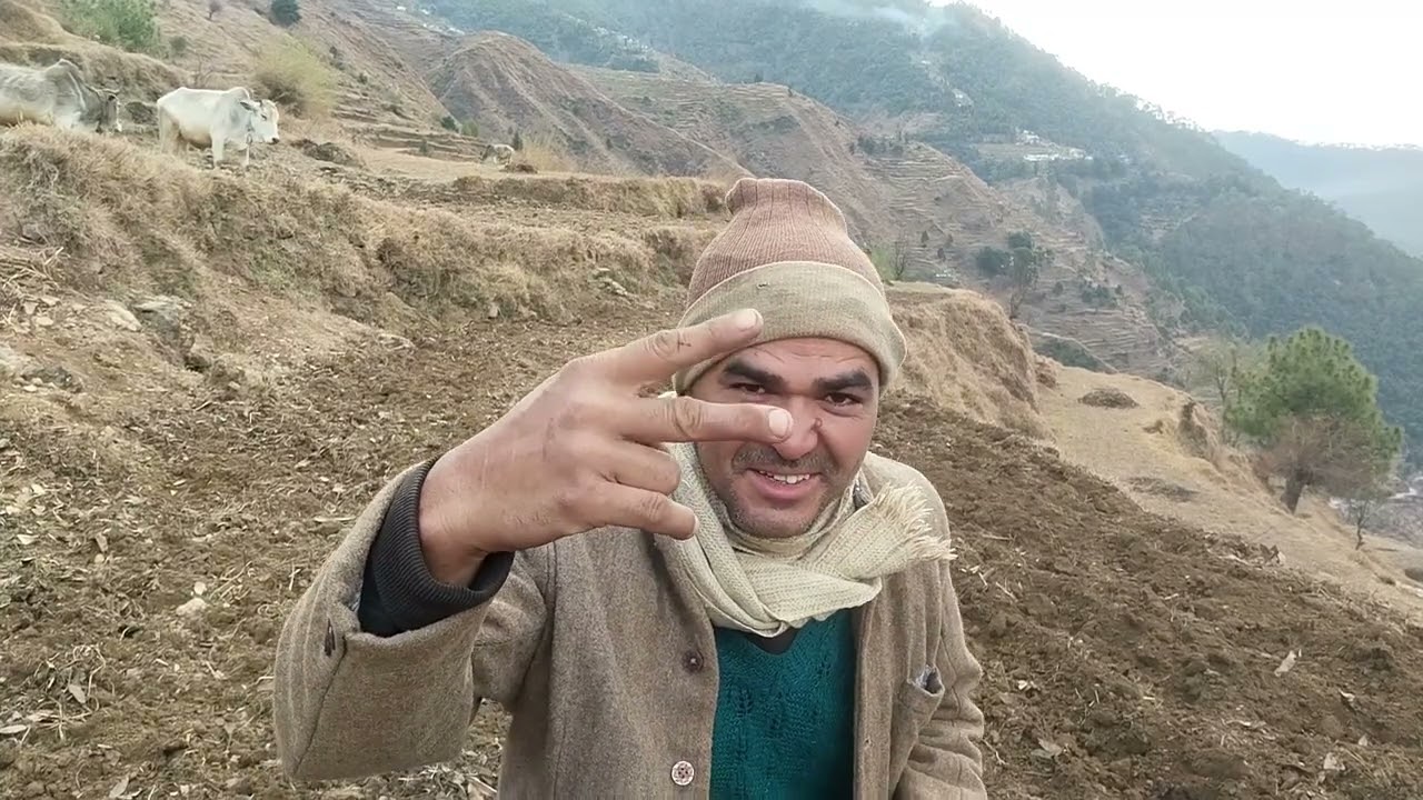 2026 का नया साल का हल कि शुरुआत हो गई है 🐂🐂🚶🚶👍🙏