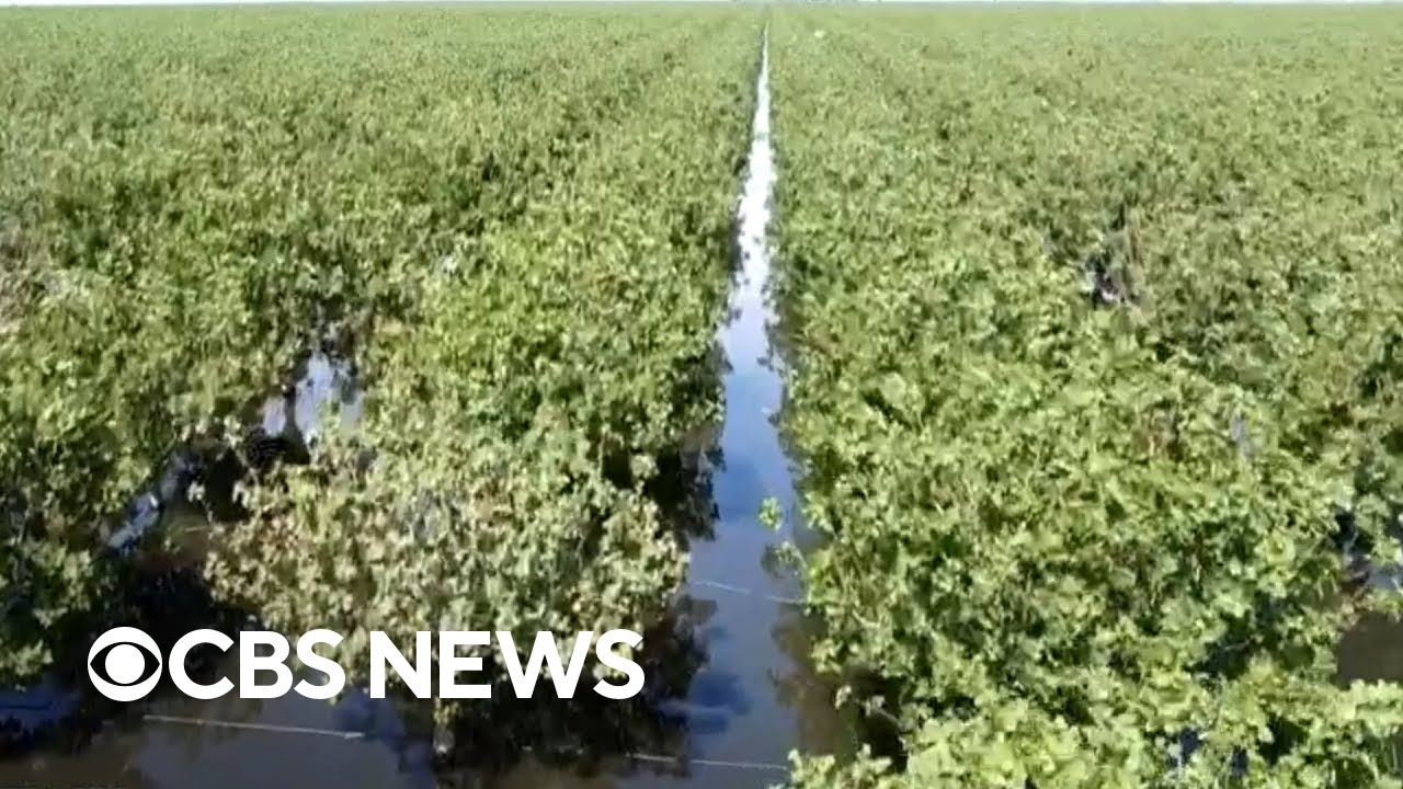 How severe flooding has impacted California farmers in Central Valley
