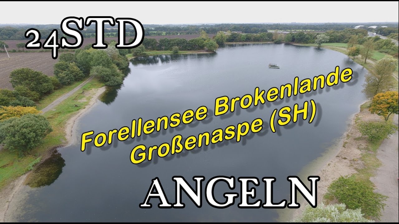 Forelle Wels Stör - Brokenlande Großenaspe #forellenangeln #welsangeln