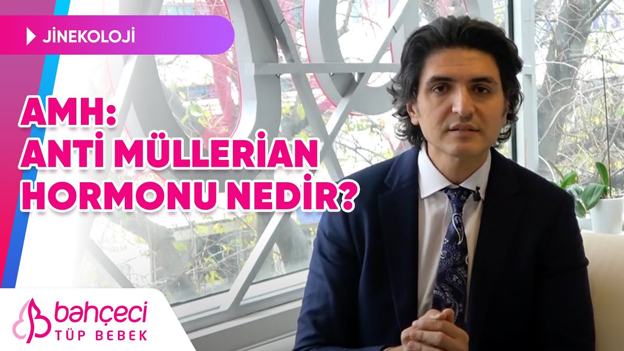 Amh: Anti Müllerian Hormonu Nedir? | Bahçeci Tüp Bebek