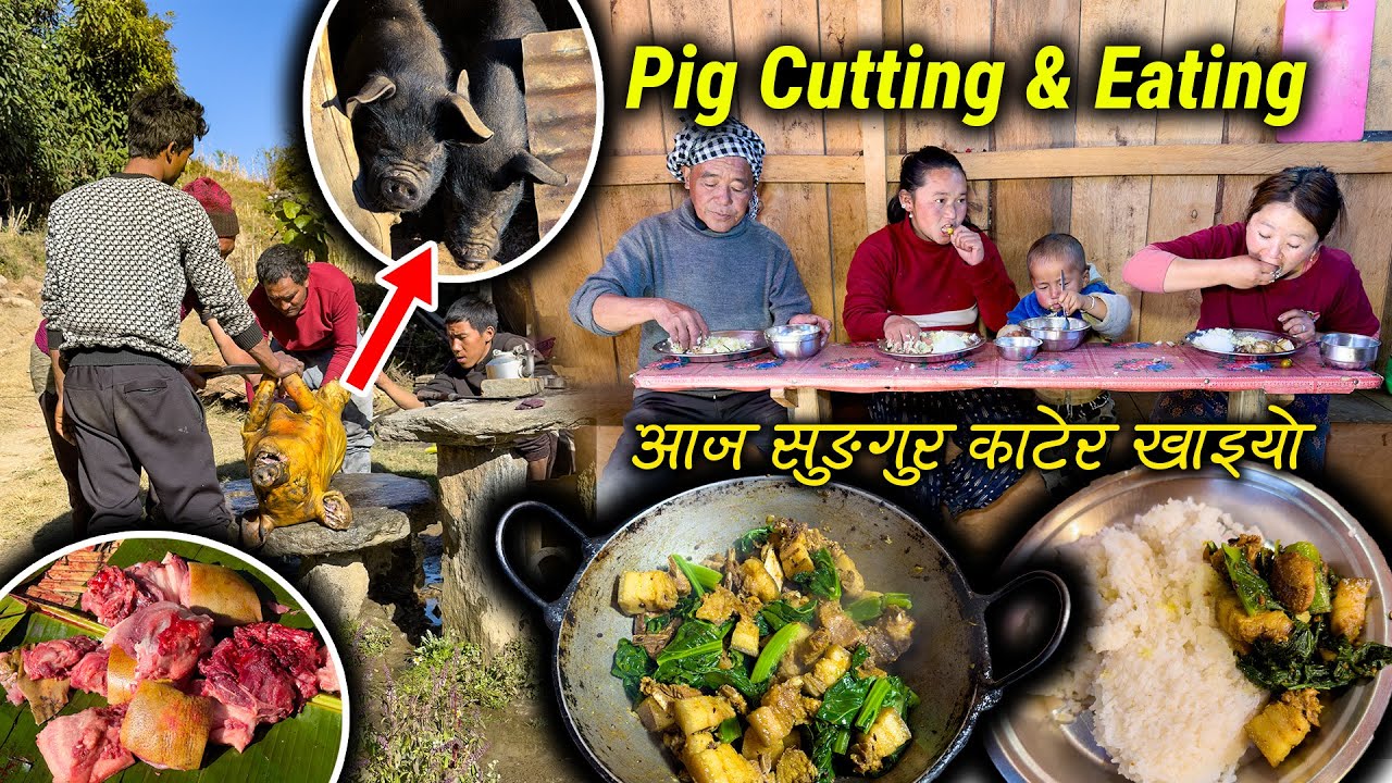 Pork Cutting, cooking and Eating with rice || Local Pork Recipe || Pig Cutting in the Rural Village