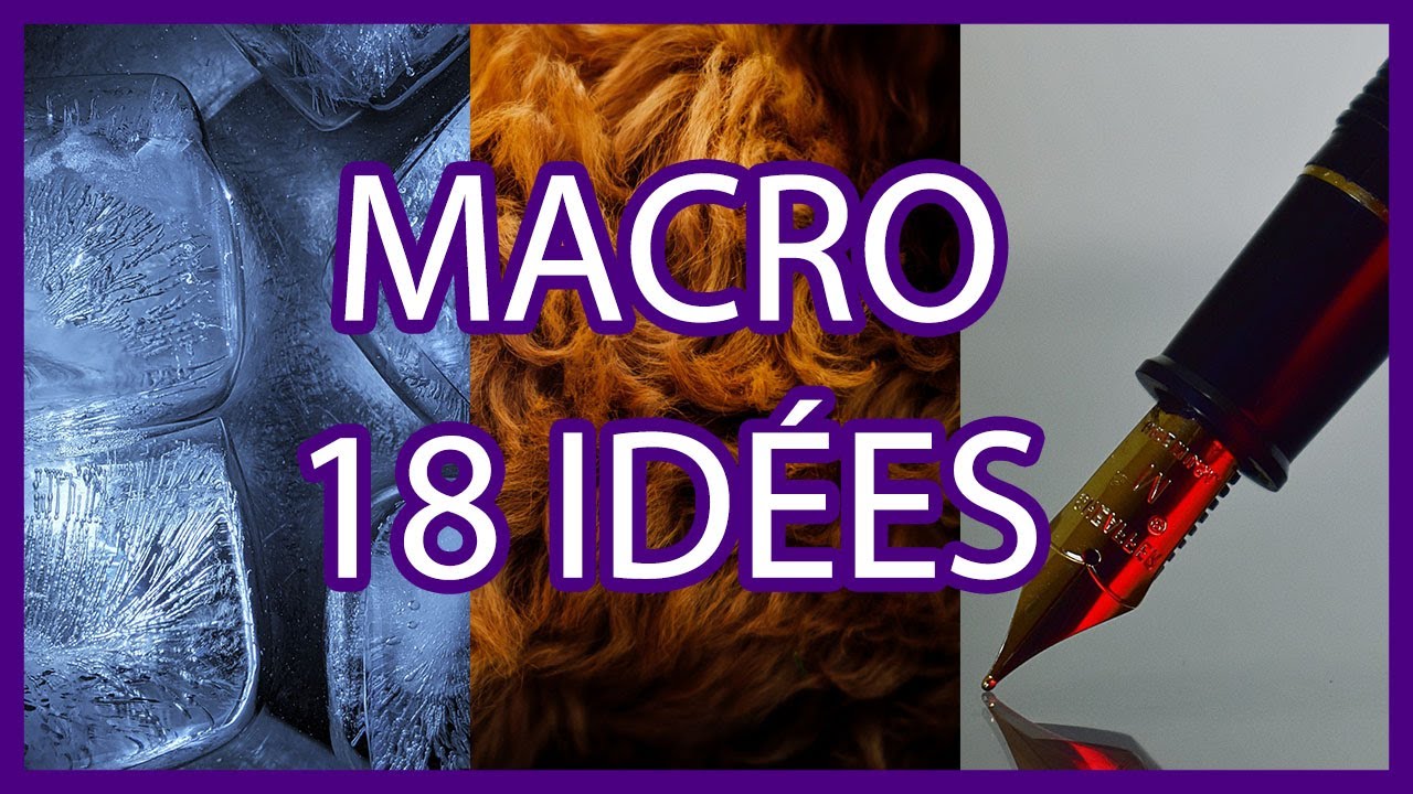 18 idées de sujets pour la macrophotographie