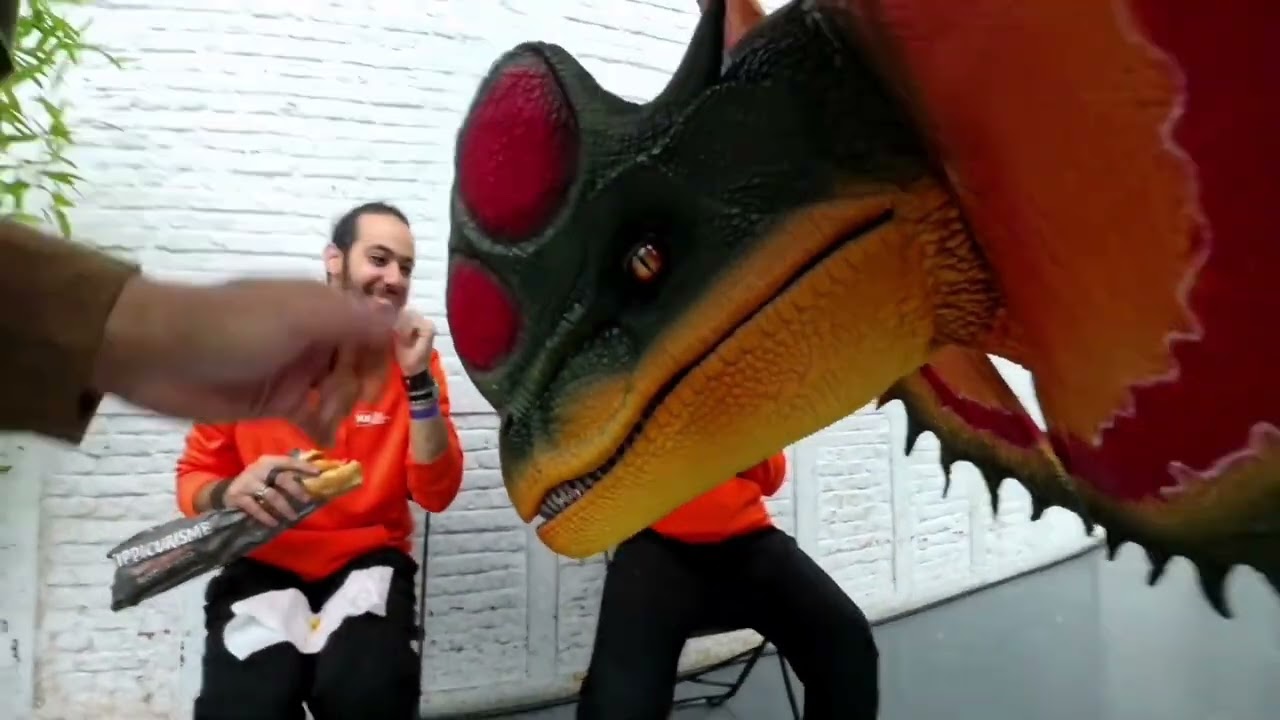 Dino's I Straatanimatie