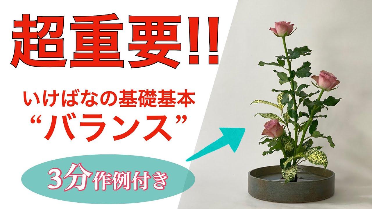 【生け花の基本】器の重要性を徹底解説！！【初心者必見】