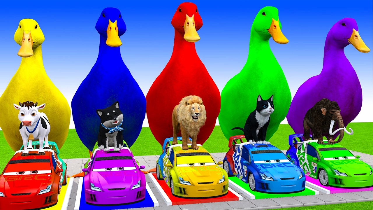 Long Slide Game With Cow Elephant Gorilla Hippopotamus Tiger 3d Animal Game Funny 3d Animals