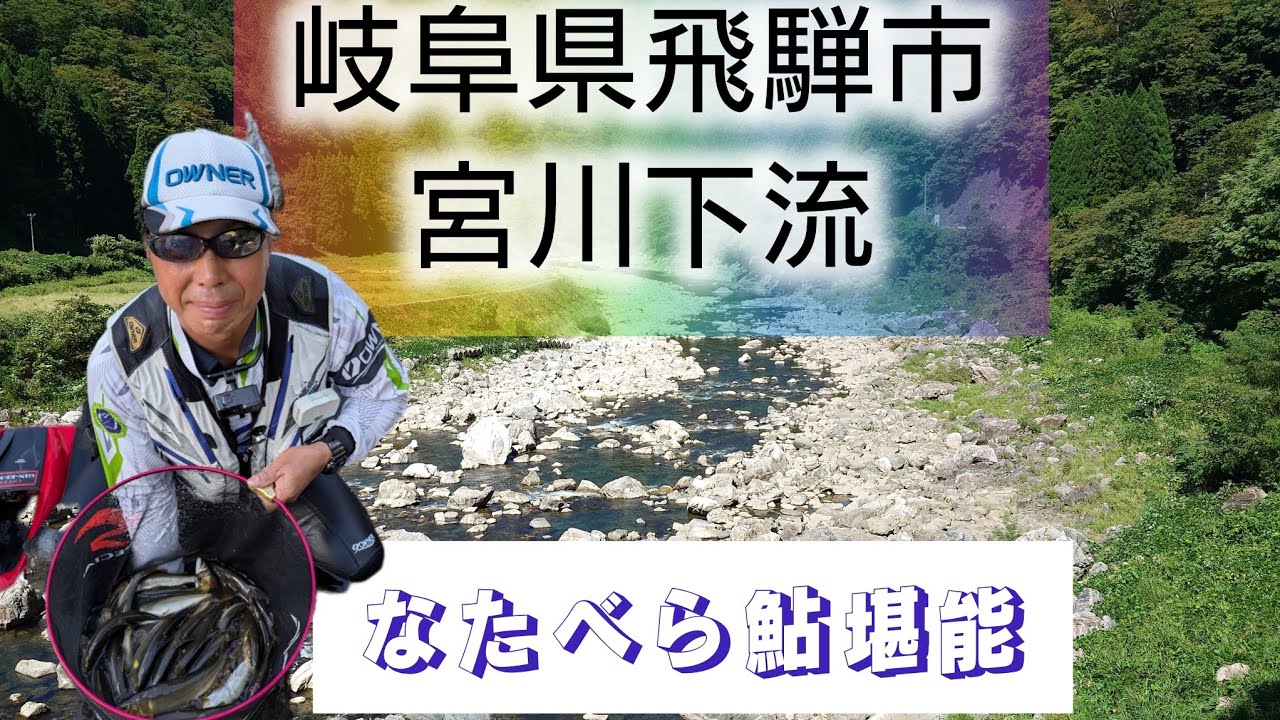 岐阜県飛騨市の宮川下流。なたべら鮎を堪能。